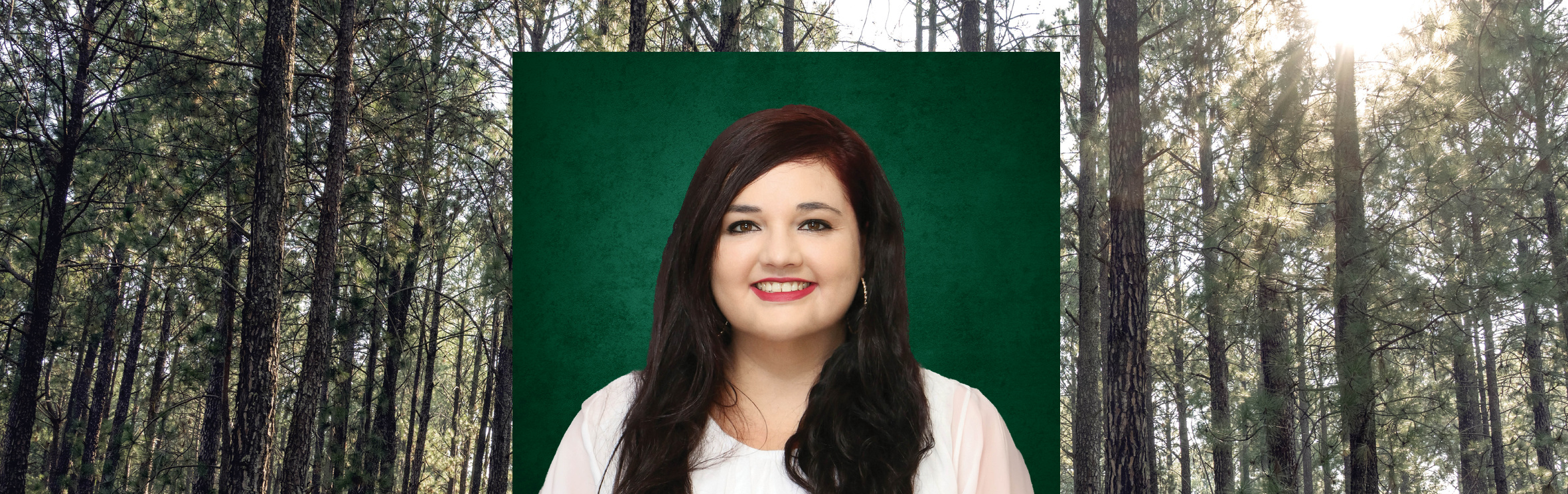 Your local property sales and rentals specialist
