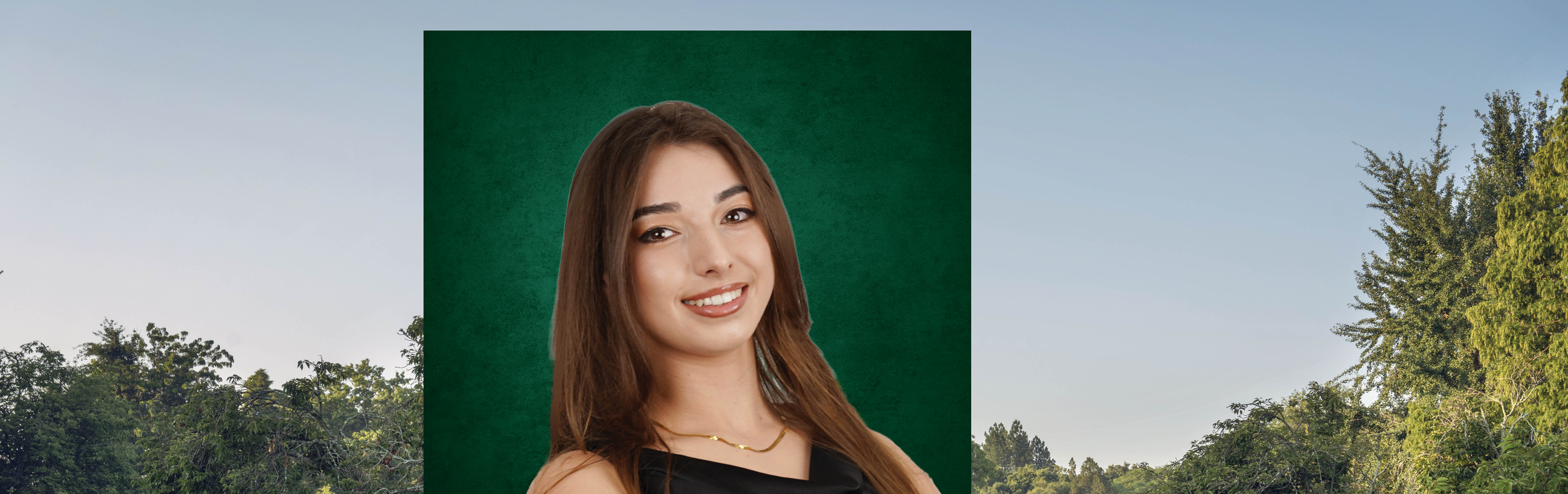 Your local property sales and rentals specialist