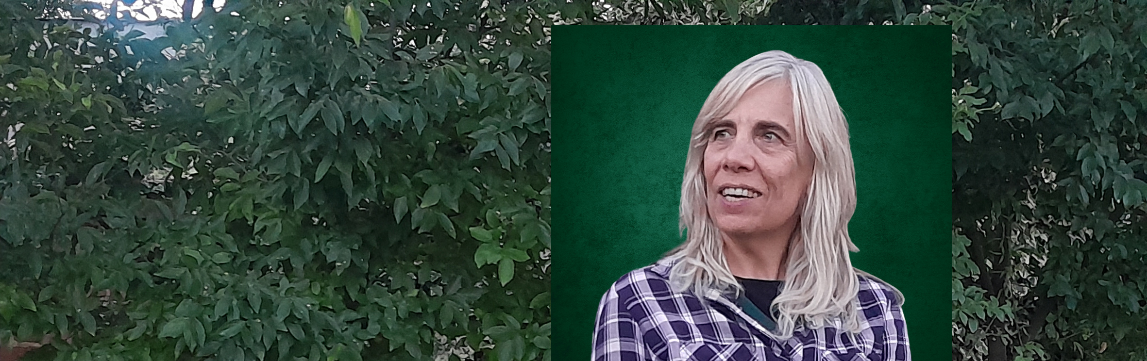 Your local property sales and rentals specialist