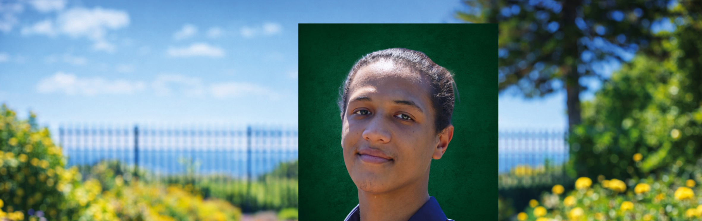 Your local property sales and rentals specialist