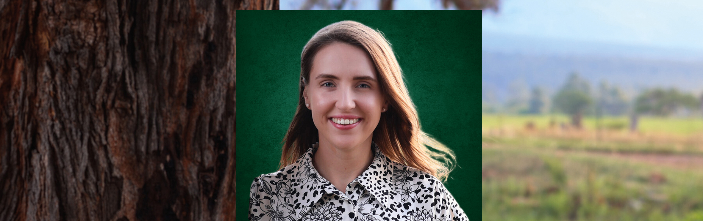 Your local property sales and rentals specialist