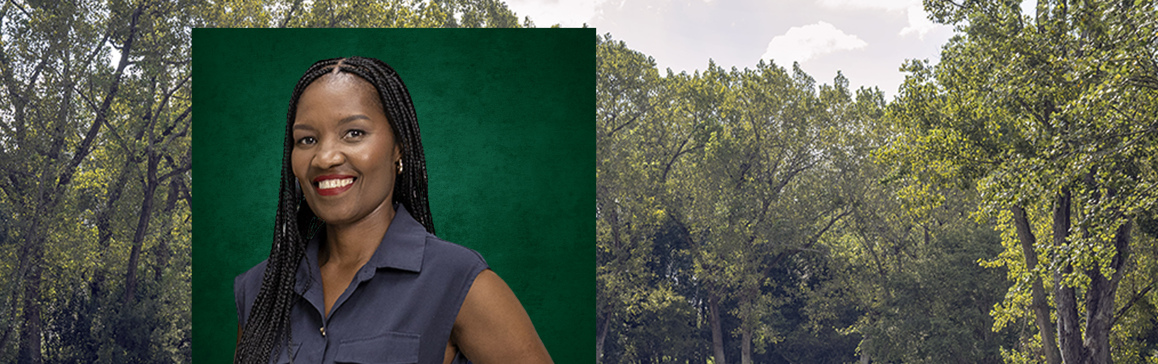 Your local property sales and rentals specialist in Beverley, Craigavon, Eagle Trace Estate, Fernbrook Estate, Stone River Estate, Witkoppen