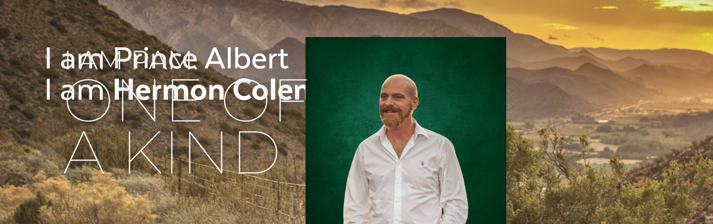 Hermon Coleman, your trusted property expert