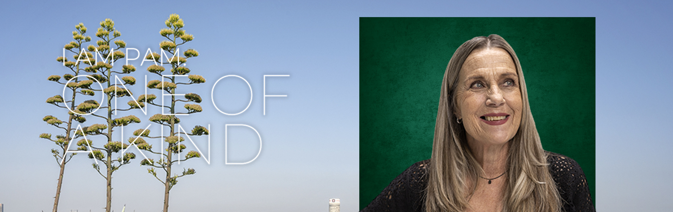 Anabela Da Silva, your trusted property expert