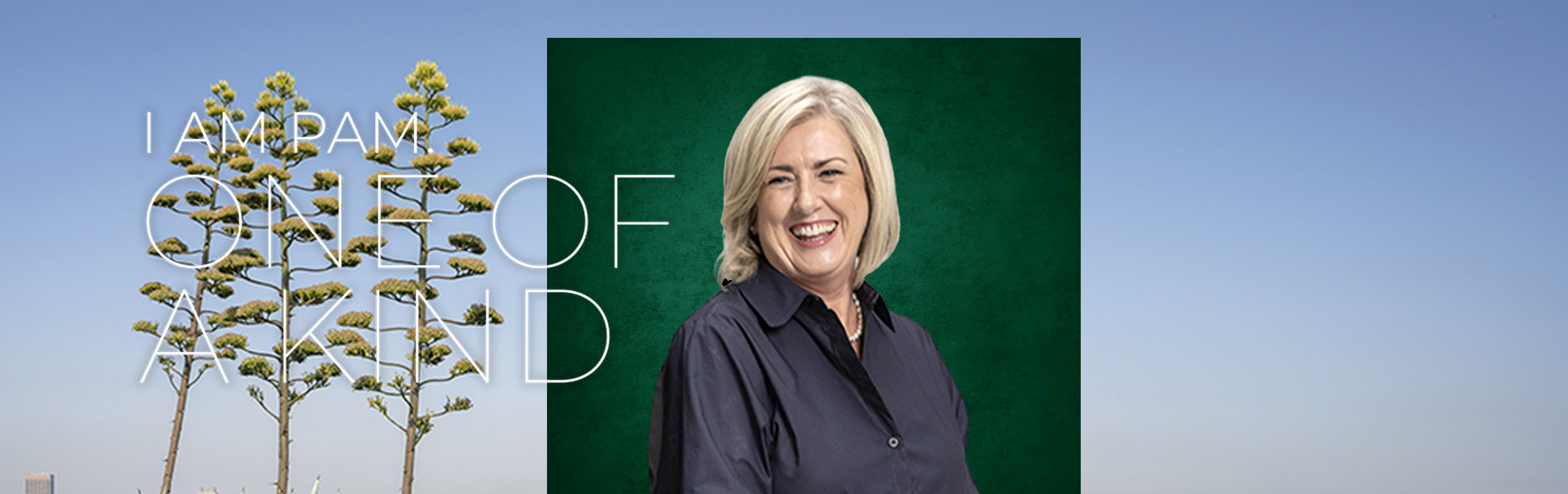 Anne Fouche, your trusted property expert