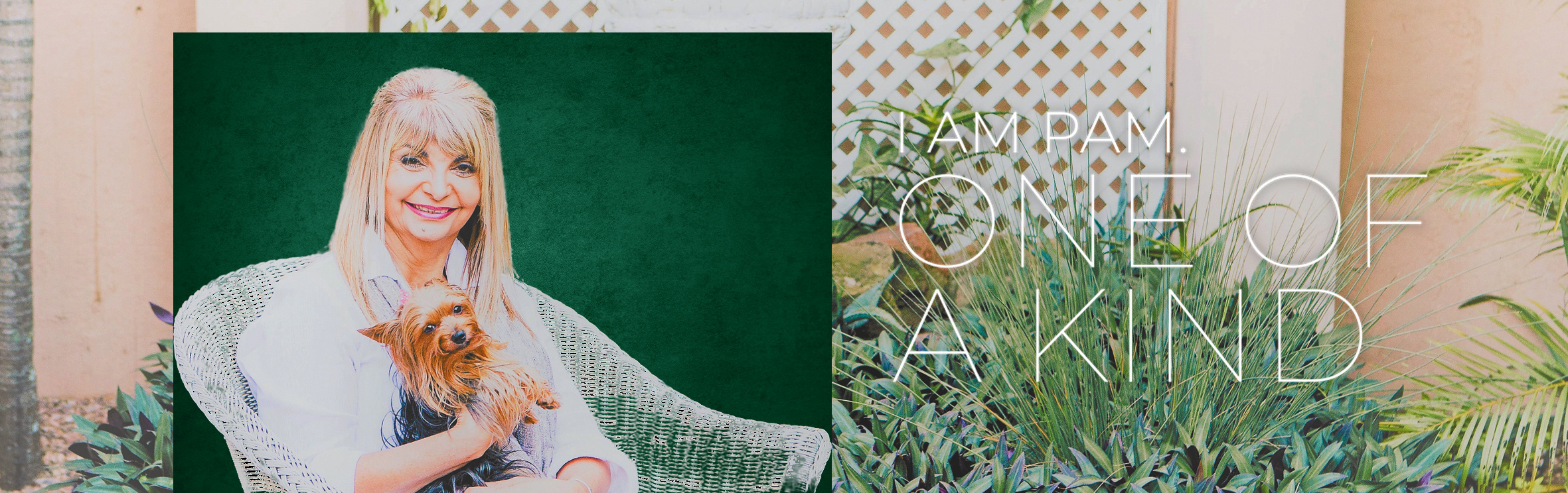 Terri Greeff, your trusted property expert