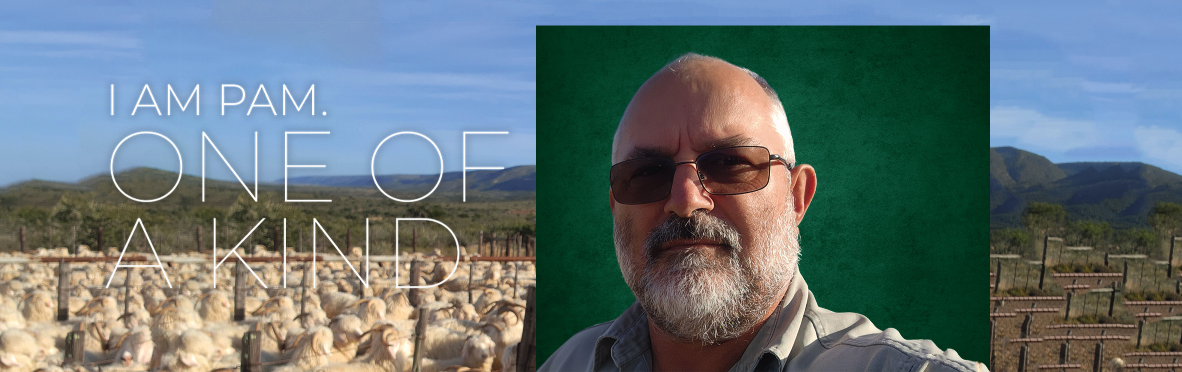 Kruger Lötter, your trusted property expert