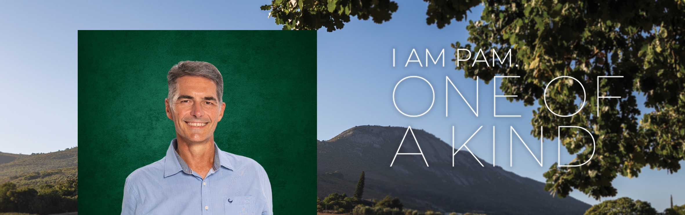 Gerrit Mostert, your trusted property expert