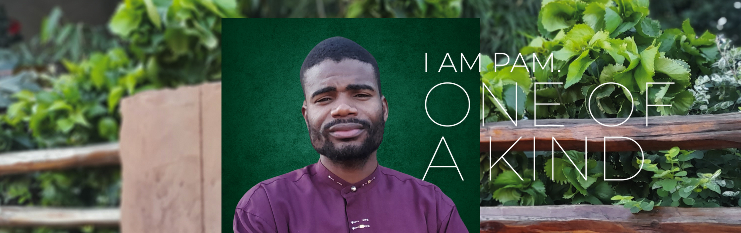 Francisco Ofice, your trusted property expert