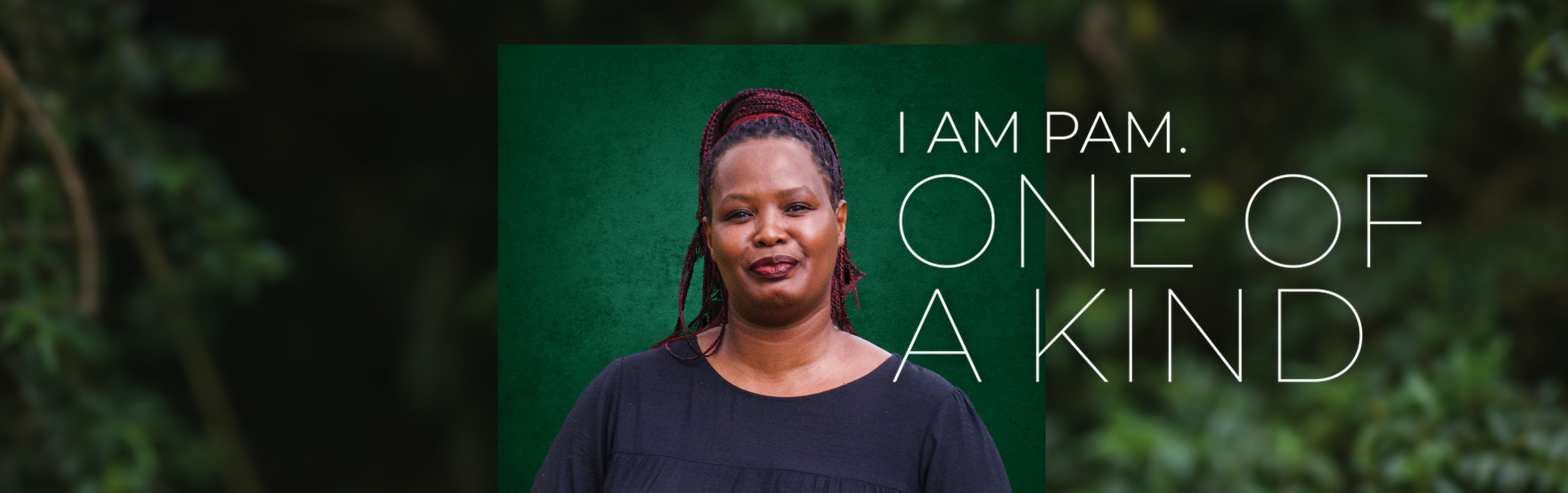 Your local property sales and rentals specialist in Gamalakhe, Harding, Manaba, Margate, St Michaels on Sea, Uvongo, Uvongo Beach