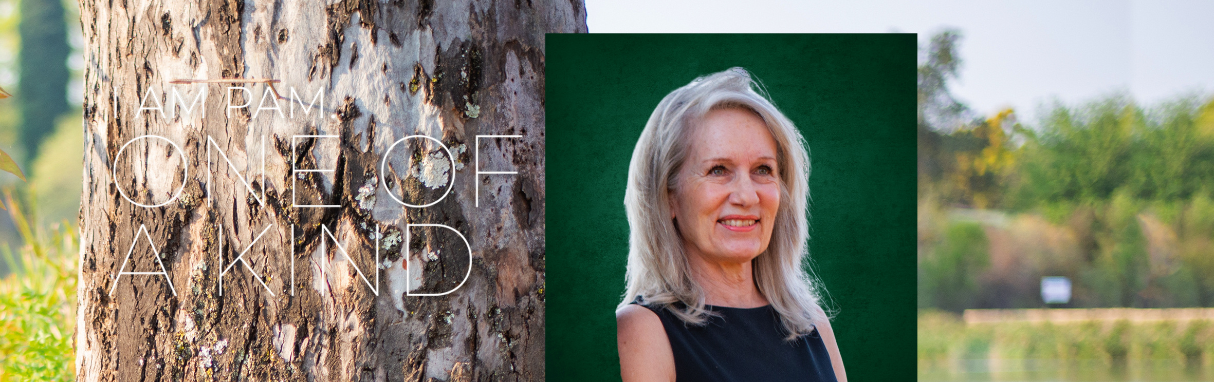 Stienie Van Den Berg, your trusted property expert
