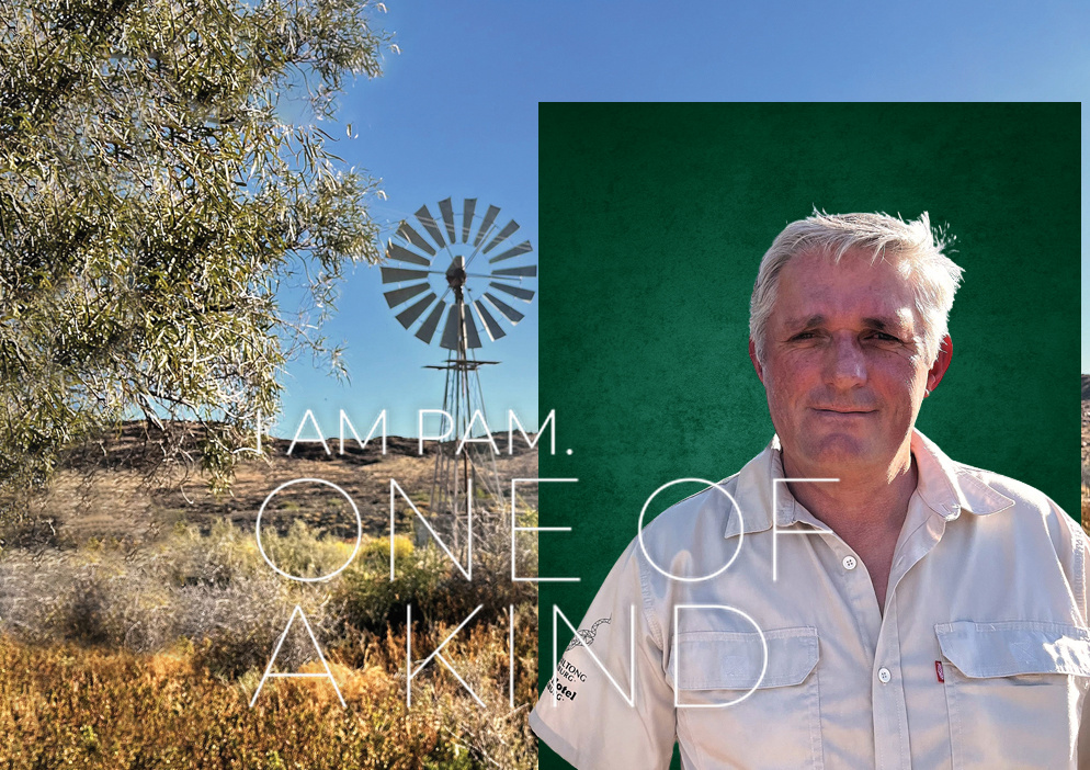 Henk Van Zyl, your local property expert in Laingsburg, South Africa