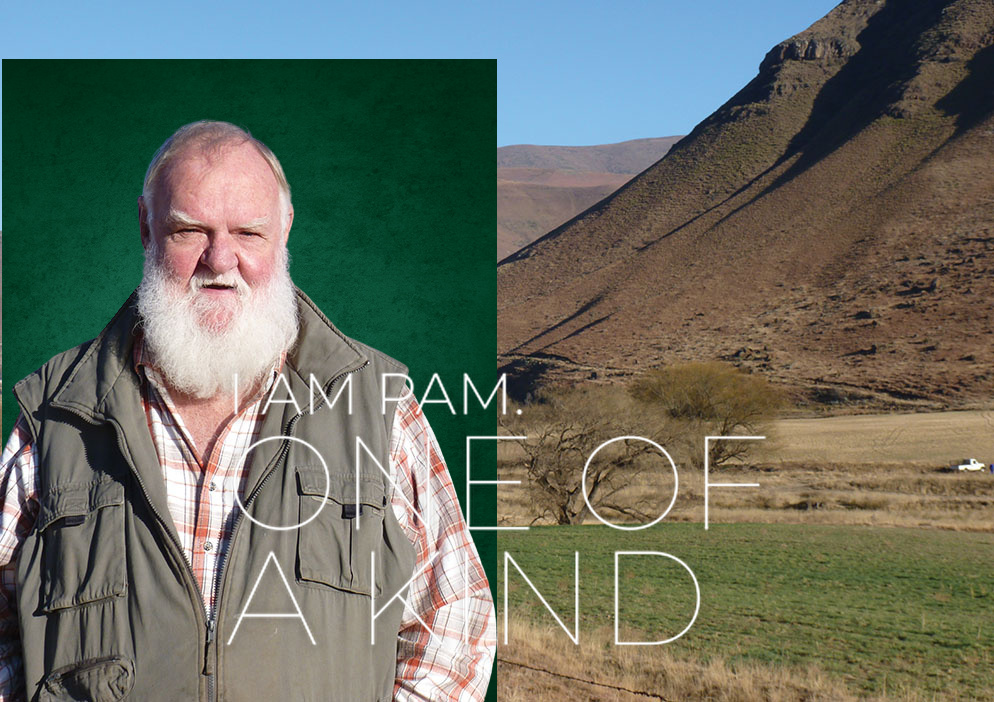 Dave Walker, your local property expert in Rhodes, South Africa