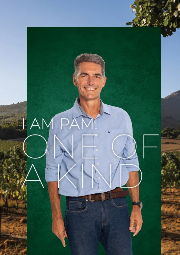Gerrit Mostert, your trusted property expert in the Pam Golding Properties Paarl office. Gerrit Mostert, your trusted property expert in the Pam Golding PropertiesPaarl office.