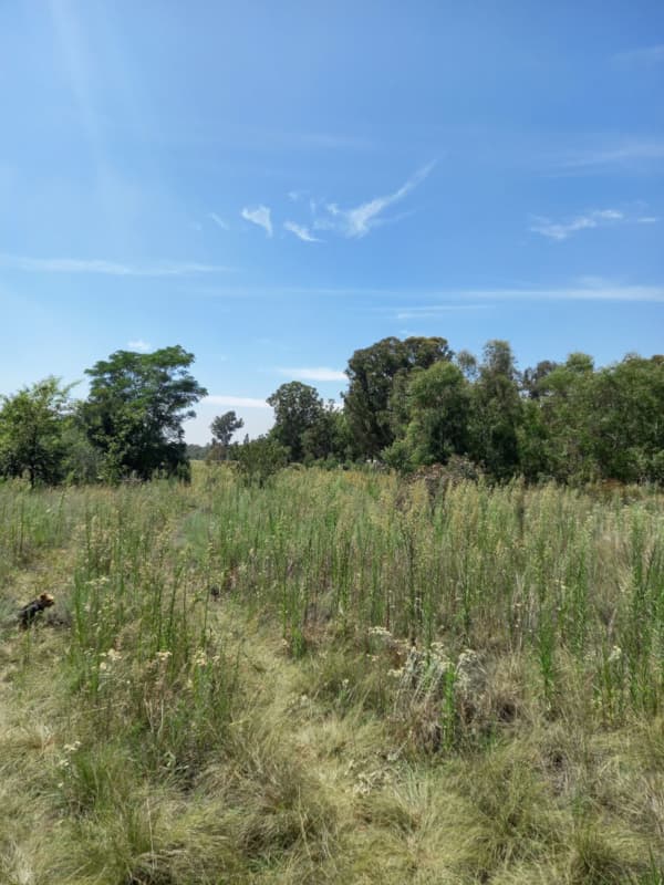 1.4 hectare Vacant Land For Sale Valley Settlements 1VT1601223