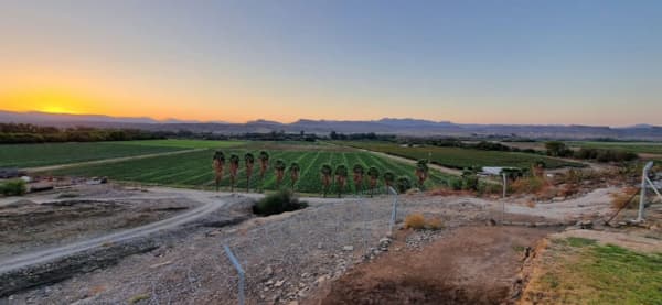 21 hectare smallholding for sale in Vioolsdrif Farms