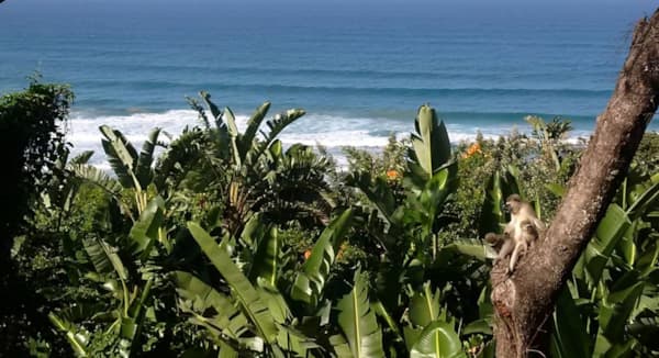 1689 m&sup2; residential vacant land for sale in Trafalgar